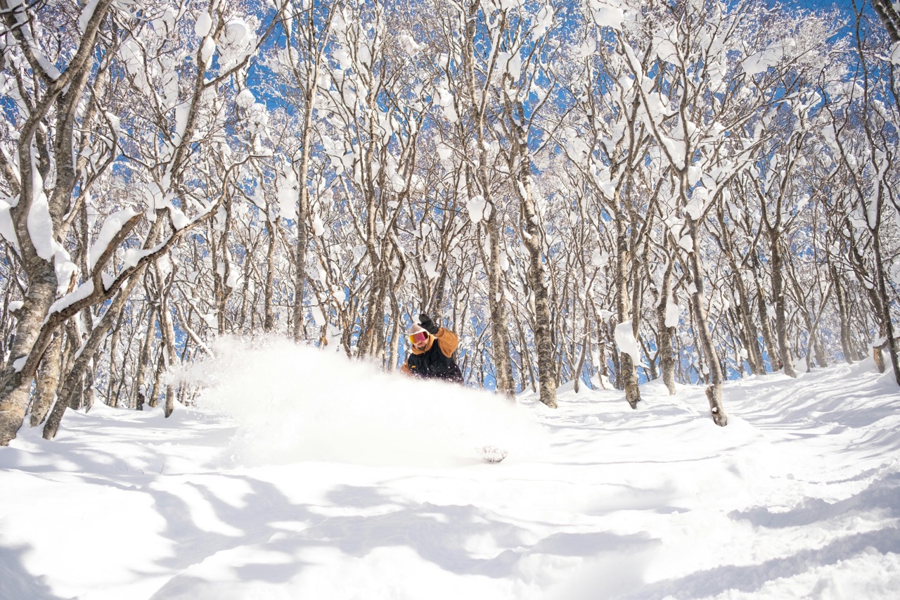 Japan Ski+Culture 2027 scenery